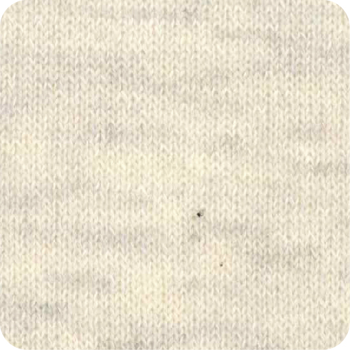 FLORA-SS2027_FA16021.jpg