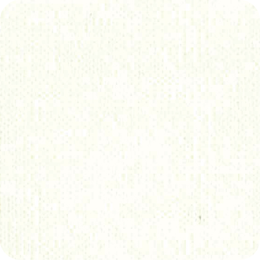 FLORA-SS2027_FA16016.jpg