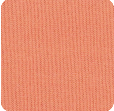 N25117.png