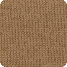 SP21009S.png