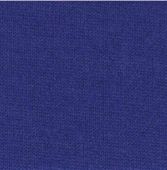 NEXUS-E.png