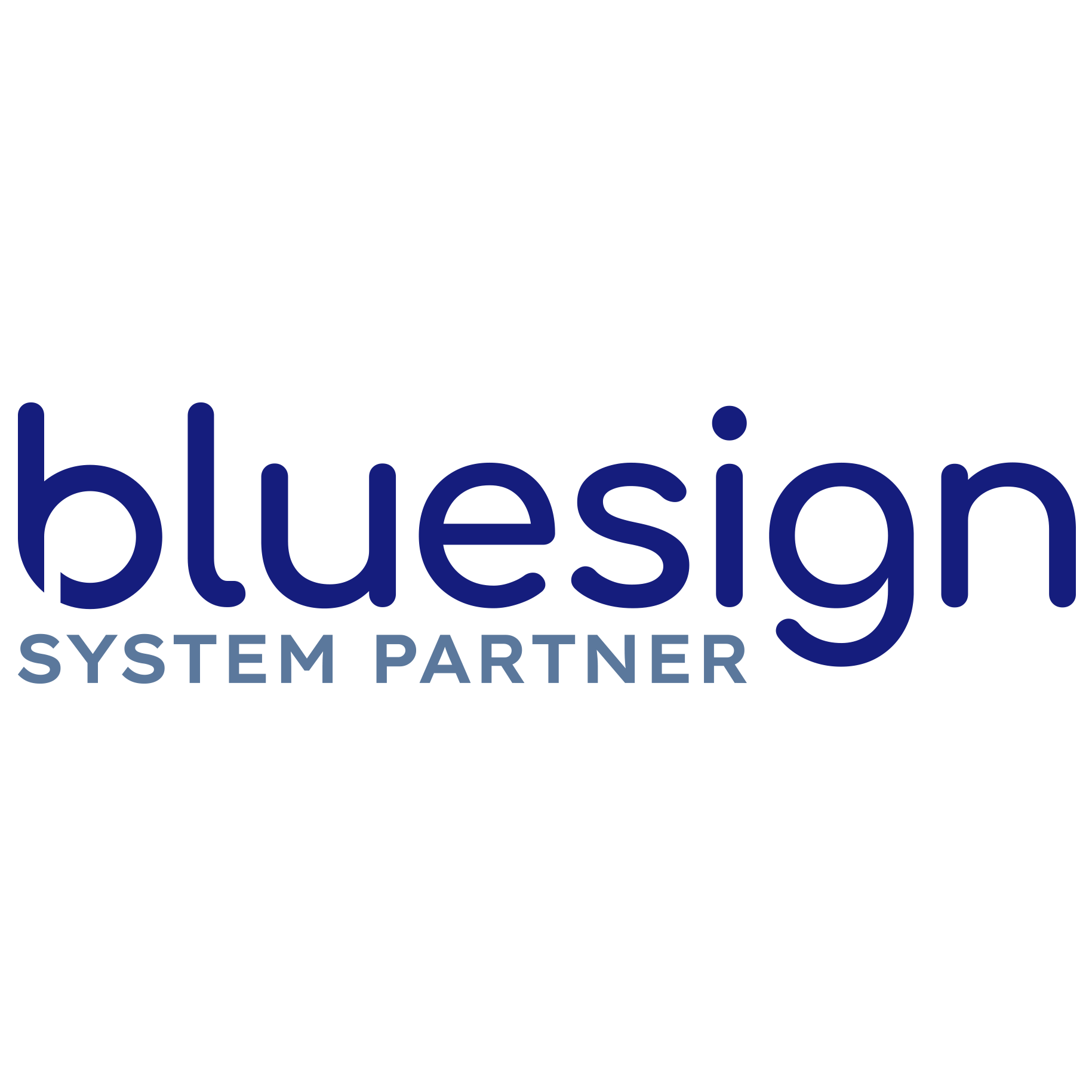 Bluesign_System_Partner_Logo_Blue_CMYK1.png