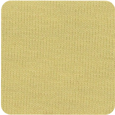 N21069.png
