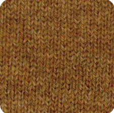 Walnut Kernel核桃仁.png
