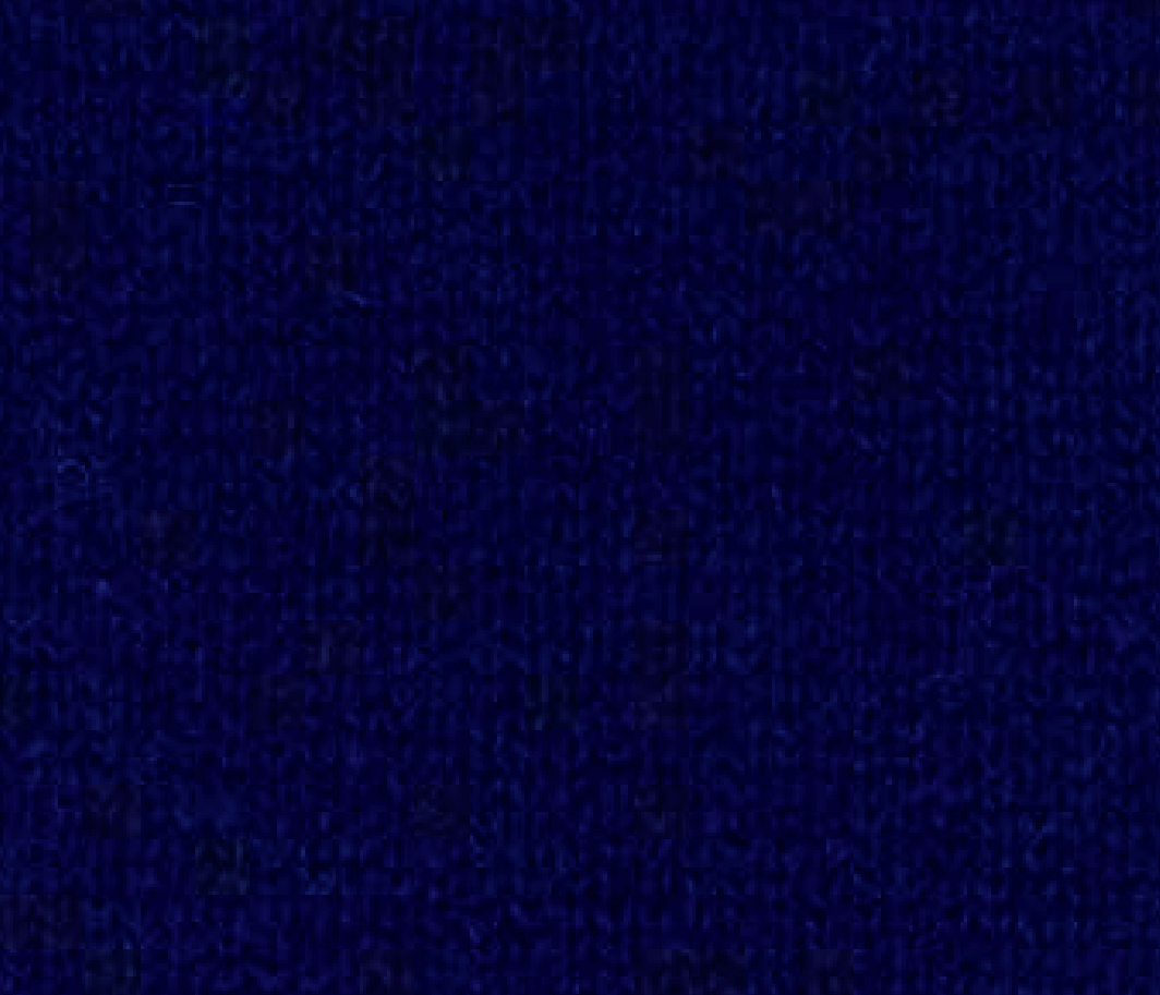 RENEW.jpg